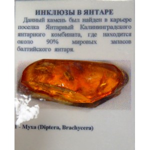 Vintage amber souvenir with inclusive